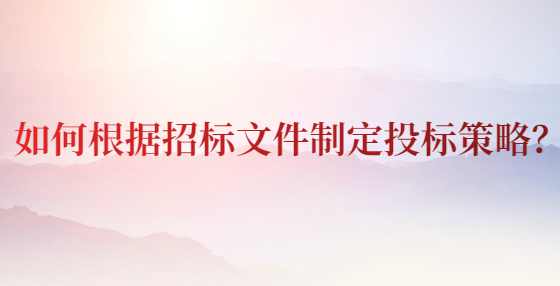 如何根据招标文件制定投标策略？