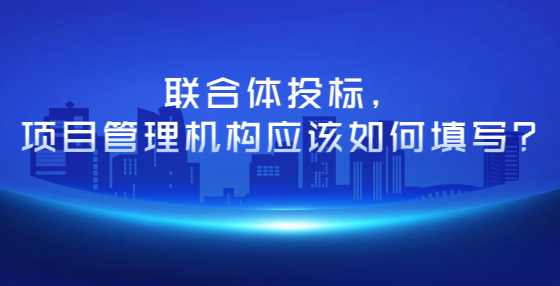 联合体投标，项目管理机构应该如何填写？
