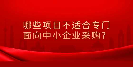 ​哪些项目不适合专门面向中小企业采购？