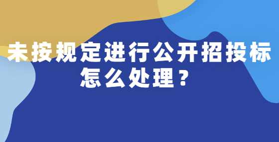 未按规定进行公开招投标怎么处理？