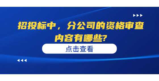 招投标中，分公司的资格审查内容有哪些?