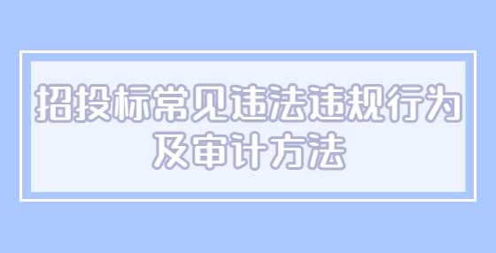 招投标常见违法违规行为及审计方法
