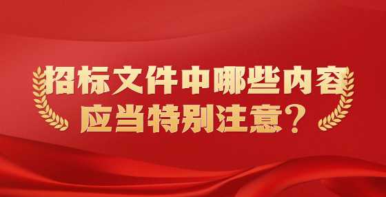 招标文件中哪些内容应当特别注意？