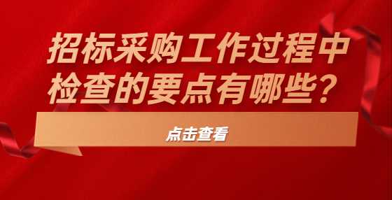 招标采购工作过程中检查的要点有哪些？