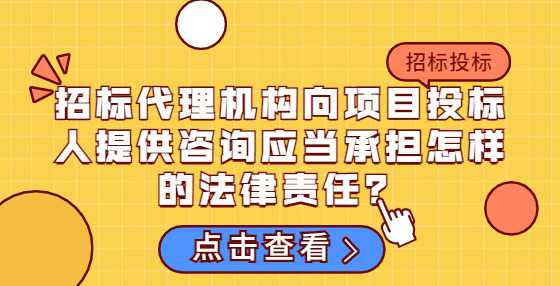 招标代理机构向项目投标人提供咨询应当承担怎样的法律责任？