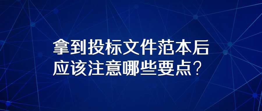 拿到投标文件范本后应该注意哪些要点？