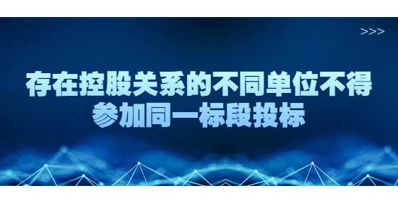 存在控股关系的不同单位不得参加同一标段投标
