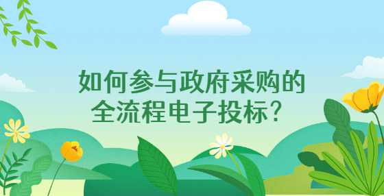 如何参与政府采购的全流程电子投标？
