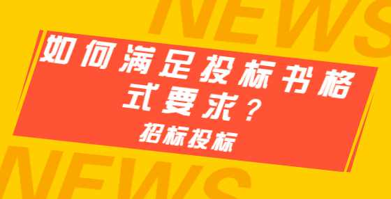 如何满足投标书格式要求?
