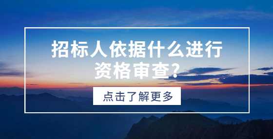 招标人依据什么进行资格审查?