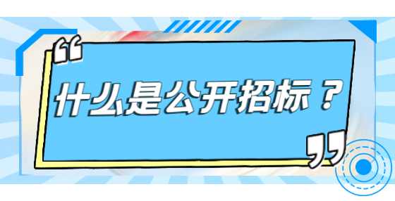 什么是公开招标？