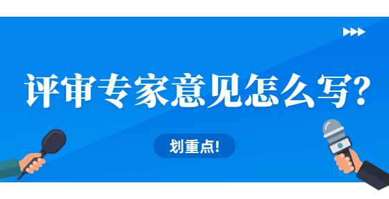 评审专家意见怎么写？