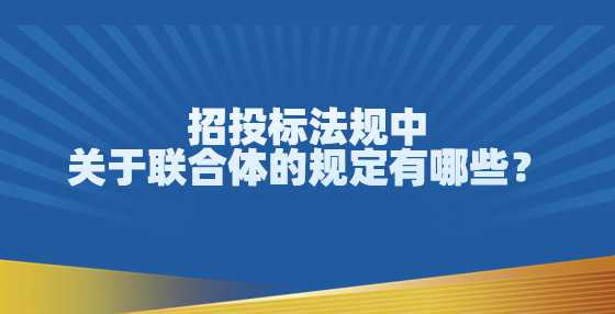 招投标法规中关于联合体的规定有哪些？
