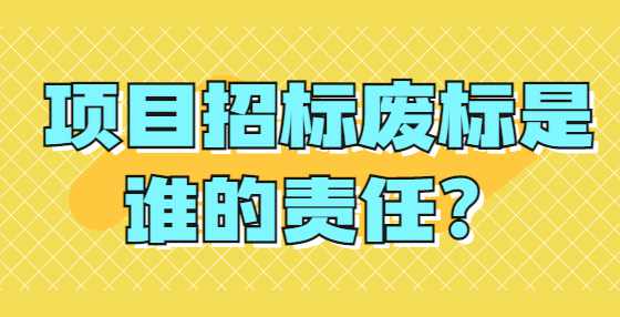 项目招标废标是谁的责任？
