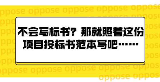 不会写标书？那就照着这份项目
