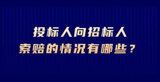 投标人向招标人索赔的情况有哪些？
