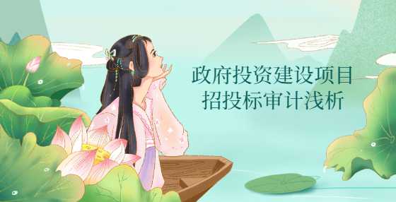 政府投资建设项目招投标审计浅析