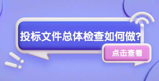 投标文件总体检查如何做？
