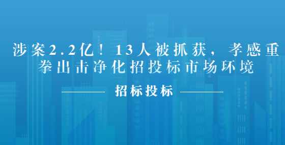 涉案2.2亿！13人被抓获，孝感重拳出击净化招投标市场环境