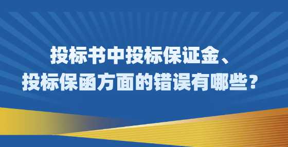 投标书中投标保证金、投标保函方面的错误有哪些？