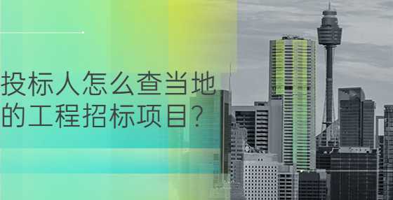 投标人怎么查当地的工程招标项目？