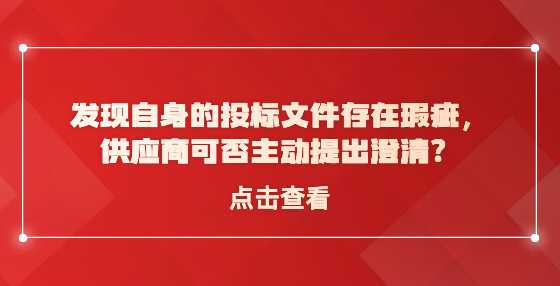 ​发现自身的投标文件存在瑕疵，供应商可否主动提出澄清？