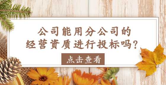 公司能用分公司的经营资质进行投标吗？
