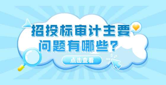 招投标审计主要问题有哪些？