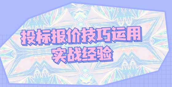 投标报价技巧运用实战经验