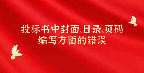 投标书中封面、目录、页码编写方面的错误