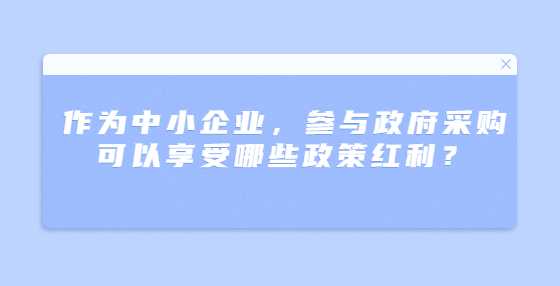 作为中小企业，参与政府采购可以享受哪些政策红利？