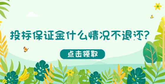投标保证金什么情况不退还？