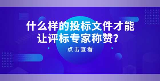 什么样的投标文件才能让评标专家称赞？