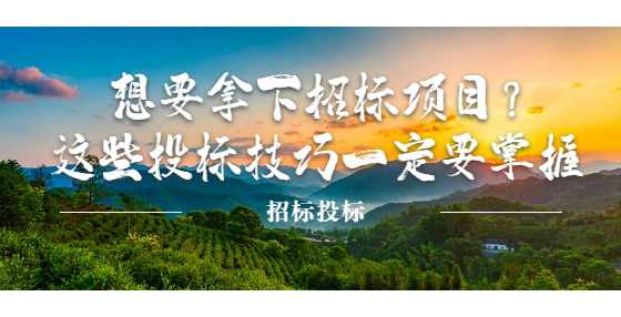 想要拿下招标项目？这些投标技巧一定要掌握