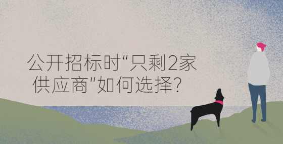 公开招标时“只剩2家供应商”如何选择？