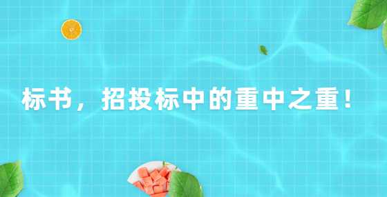 标书，招投标中的重中之重！