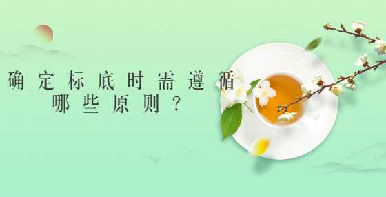 确定标底时需遵循哪些原则？
