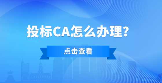 投标CA怎么办理？