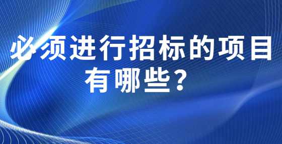 必须进行招标的项目有哪些？