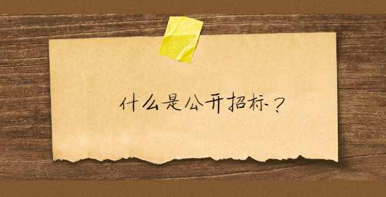 什么是公开招标？