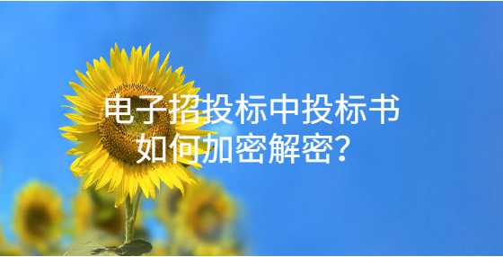 电子招投标中投标书如何加密解密？