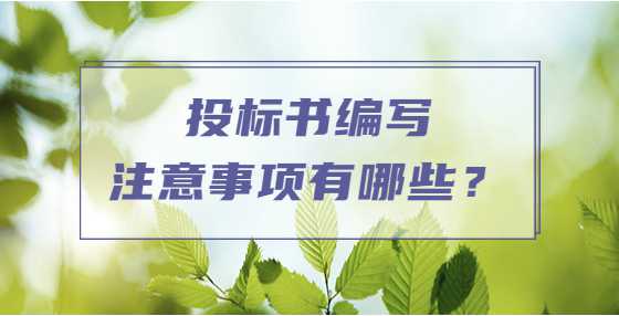 投标书编写注意事项有哪些？