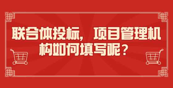 联合体投标，项目管理机构如何填写呢？