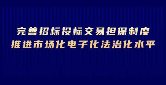 完善招标投标交易担保制度 推进市场化电子化法治化水平