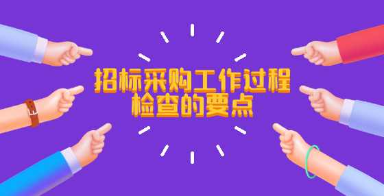 招标采购工作过程检查的要点